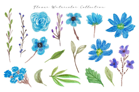 Blue Flower Watercolor Collection & Illustrations