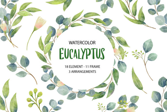 Eucalyptus Watercolor Set for Illustrations