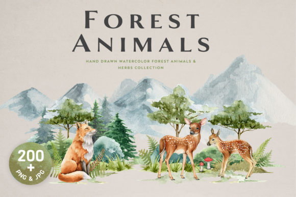 Forest Animals and Herbs Watercolor Set Illustrations