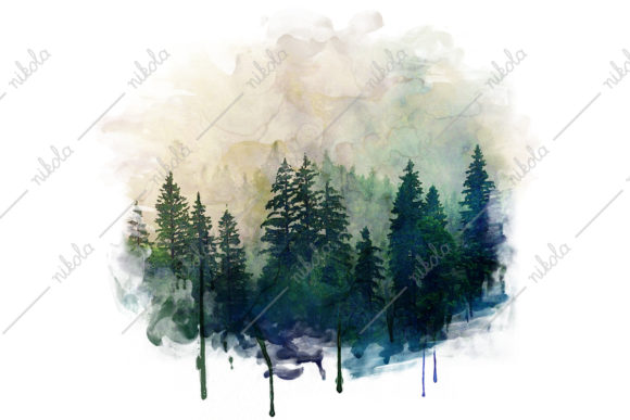 Forest Watercolor Woods Illustrations