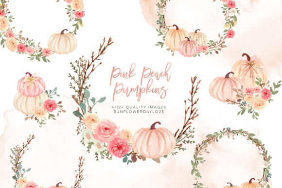 Pink Autumn Pumpkin Watercolor Clipart and Illustrations