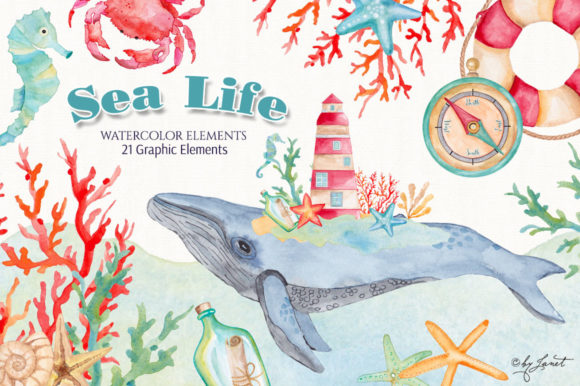 Sea Life Watercolor Illustrations