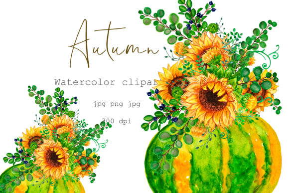 Watercolor Clipart Autumn.Pumpkin Flower Illustrations