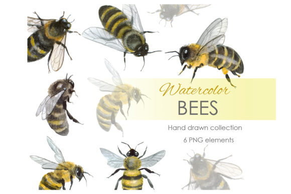 Watercolor Clipart Bee Art Bumble Bee Illustrations