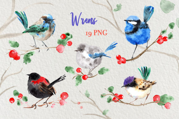Watercolor Fairy Wren Birds Clip Art and Illustrations