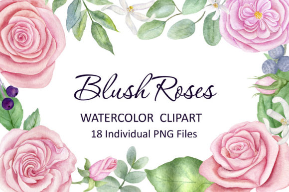 Watercolor Floral Clipart, Pink Roses Illustrations