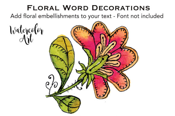Watercolor Flower Orange 6 Petals Illustrations