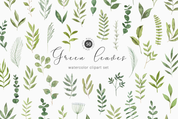 Watercolor Greenery Botanical Clipart and Illustrations