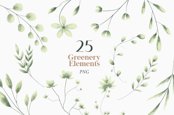 Watercolor Greenery PNG for Illustrations