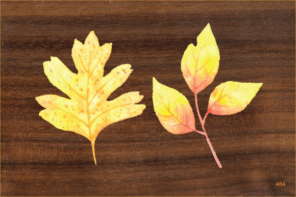 Watercolor Hand Painted Leaf Clipart 483