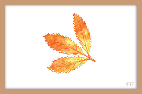 Watercolor Hand Painted Leaf Wall Art487