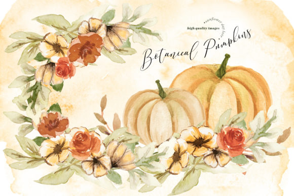 Watercolor Pumpkins Autumns Clipart and Illustrations
