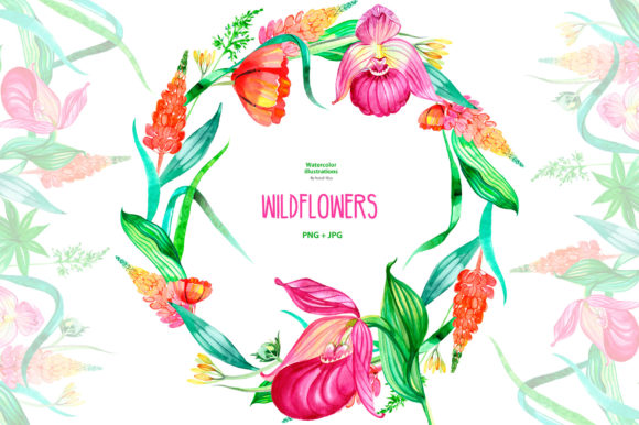 Watercolor Wildflowers Clipart and Illustrations