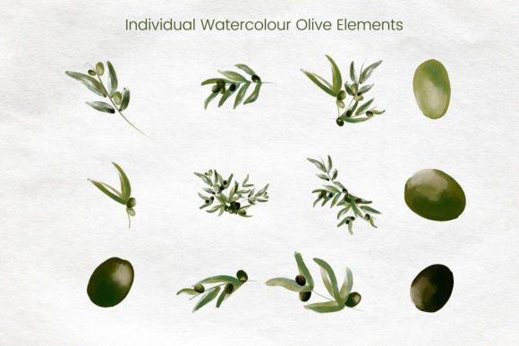 Watercolour Olive Branch with Gold Frame